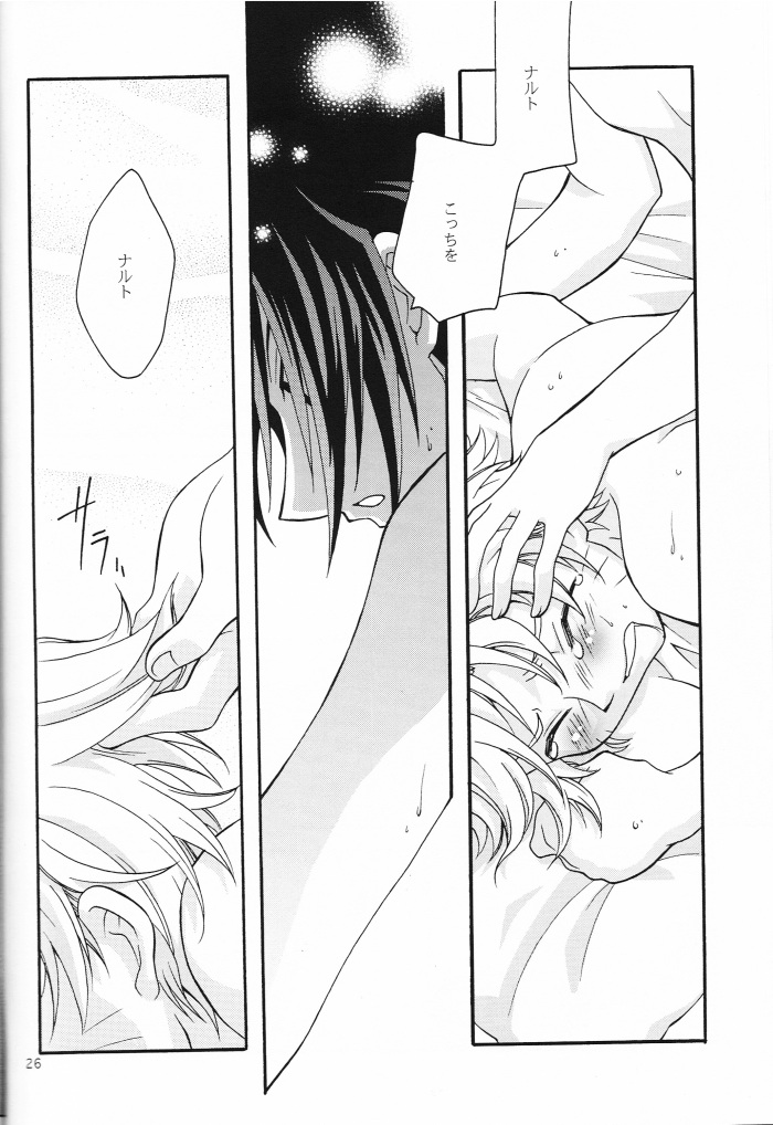 [安全第一] ミもフタもない