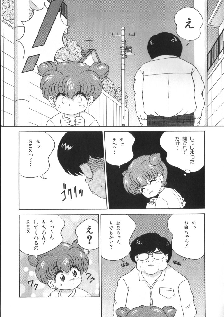 [アンソロジー] 妖精日記 第4号
