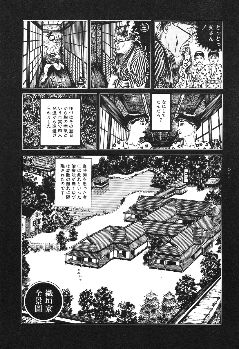 【大越幸太郎】月食虫