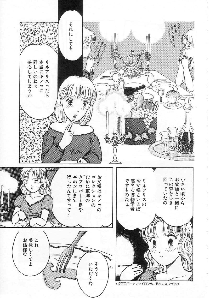 [となみむか] 少女の適応と放散