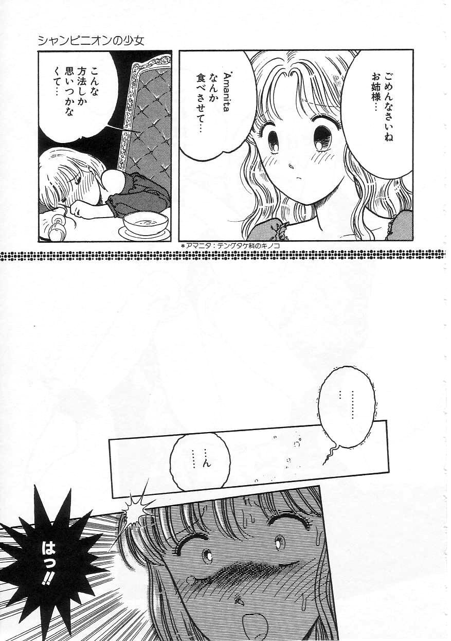[となみむか] 少女の適応と放散