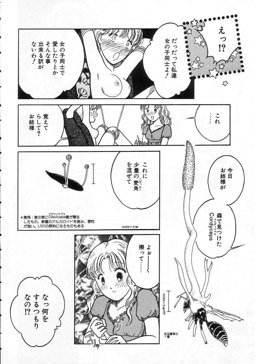 [となみむか] 少女の適応と放散