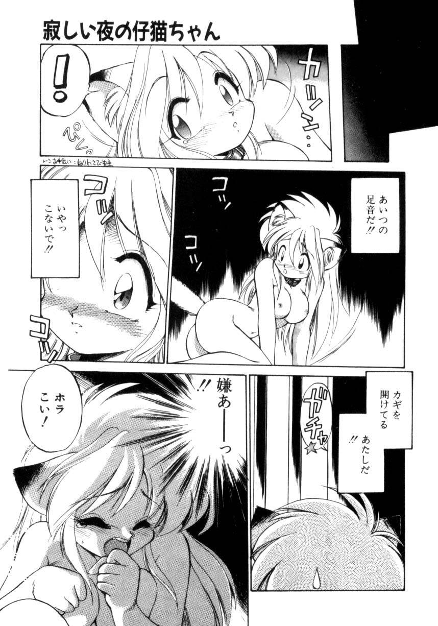 [えびふらい] 毎日がWONDER LAND