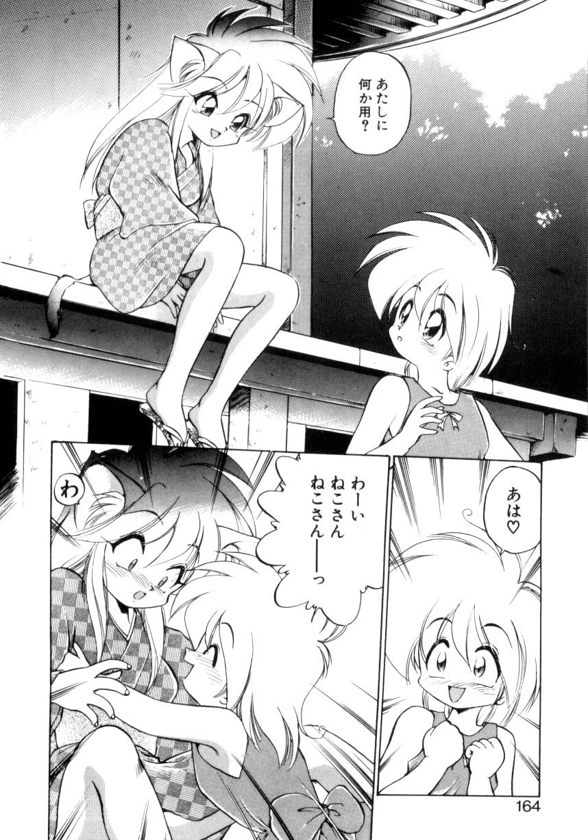 [えびふらい] 毎日がWONDER LAND