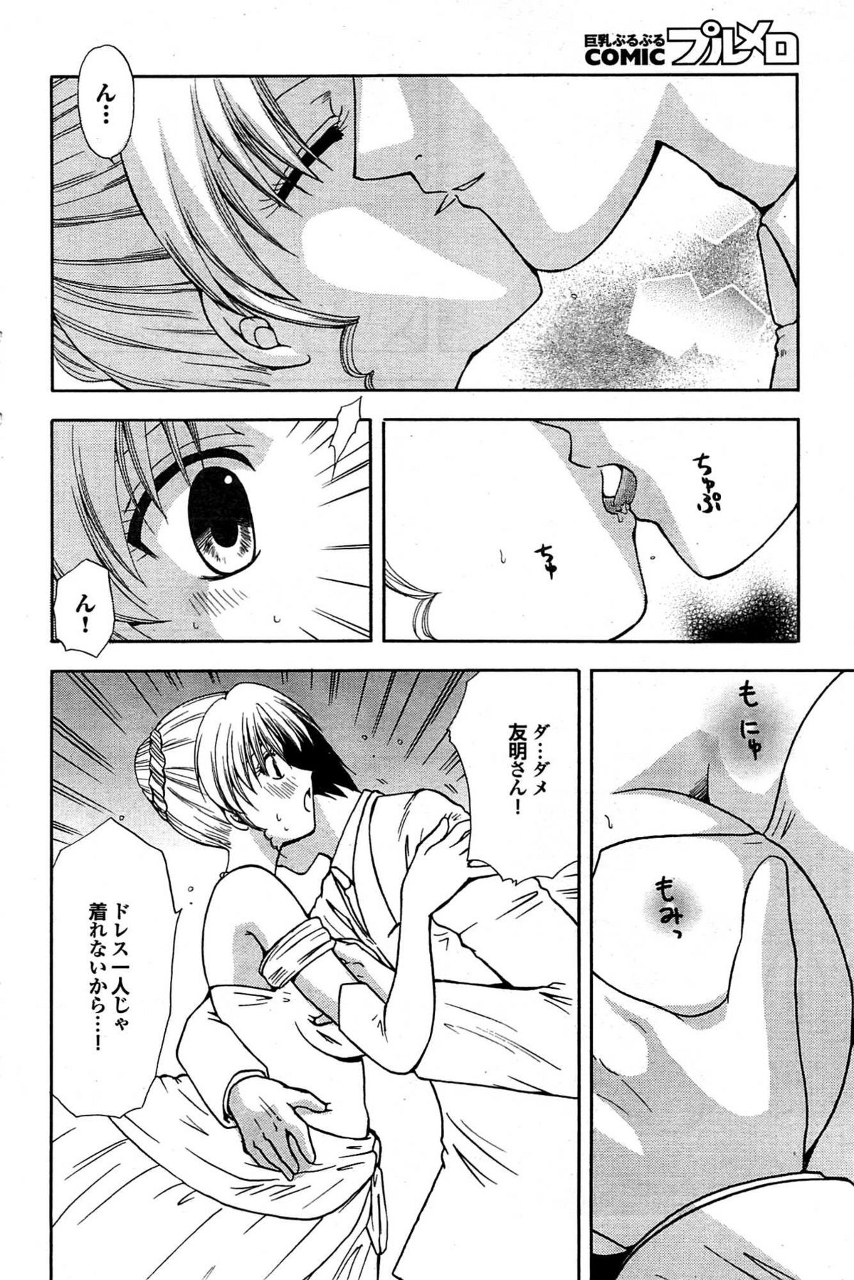 COMIC プルメロ 2007年08月号 vol.08