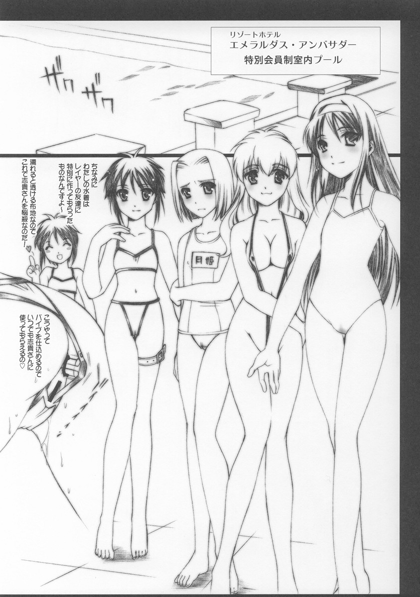 [恋愛漫画家 (鳴瀬ひろふみ)] SCRIBBLE PROJECT 2 (月姫)