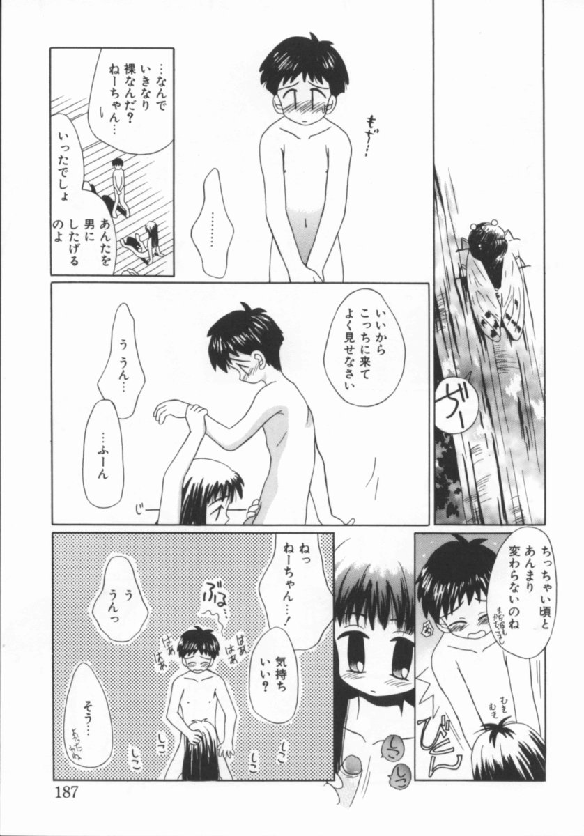 [のぞみ侑海] 少女の日