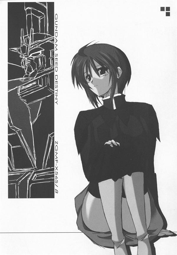 (C68) [雷電屋敷 (山浦環)] ルナマリア主義 Z (機動戦士ガンダムSEED DESTINY)