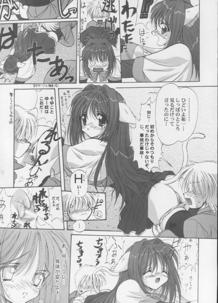 [阿修羅屋 (くしだあしゅら)] ねこねこほっと (カノン)