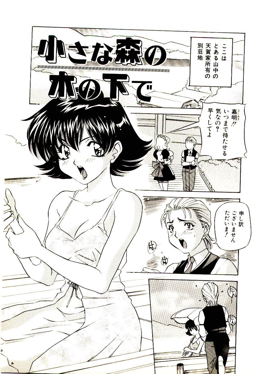 [VECSTAR] あなたをください