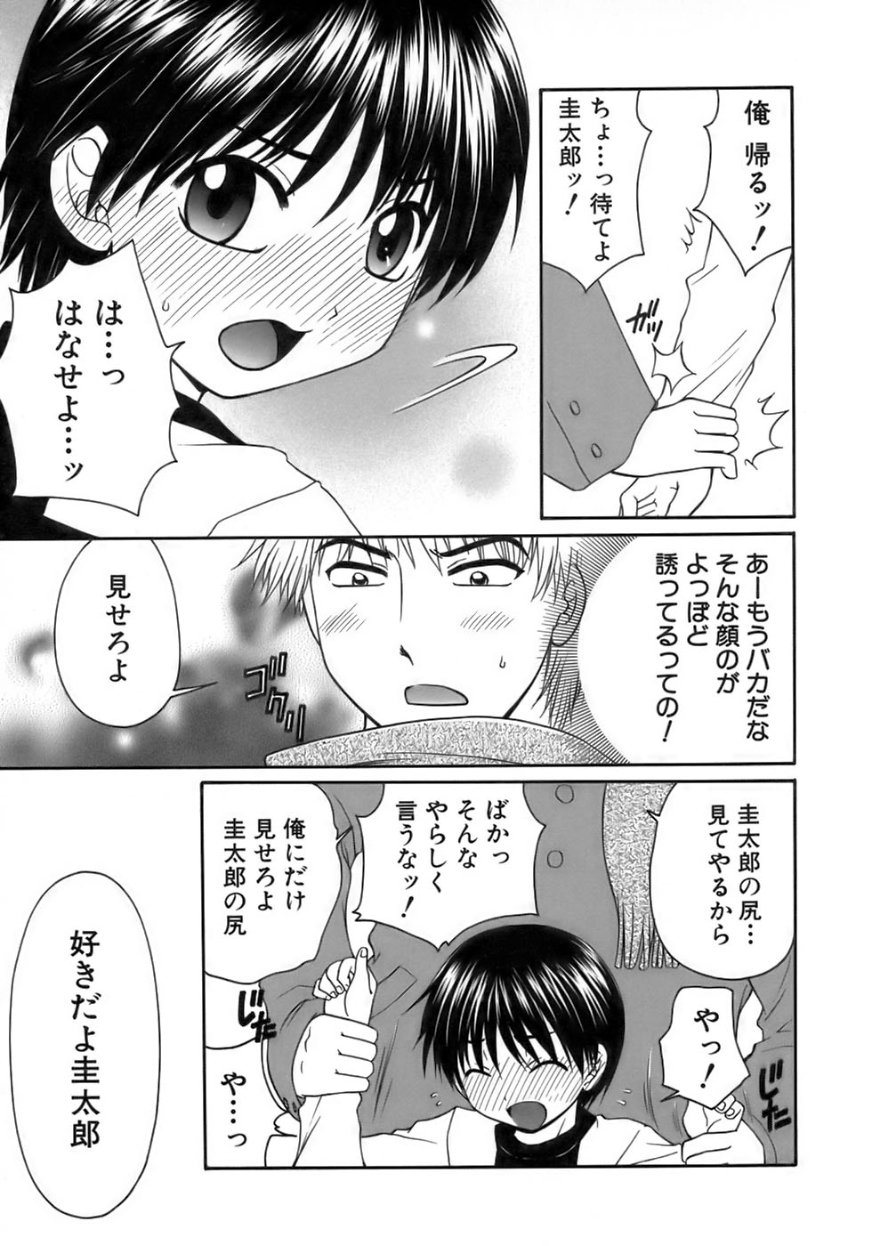 [アンソロジー] 少年愛の美学17 THEわんぱく少年