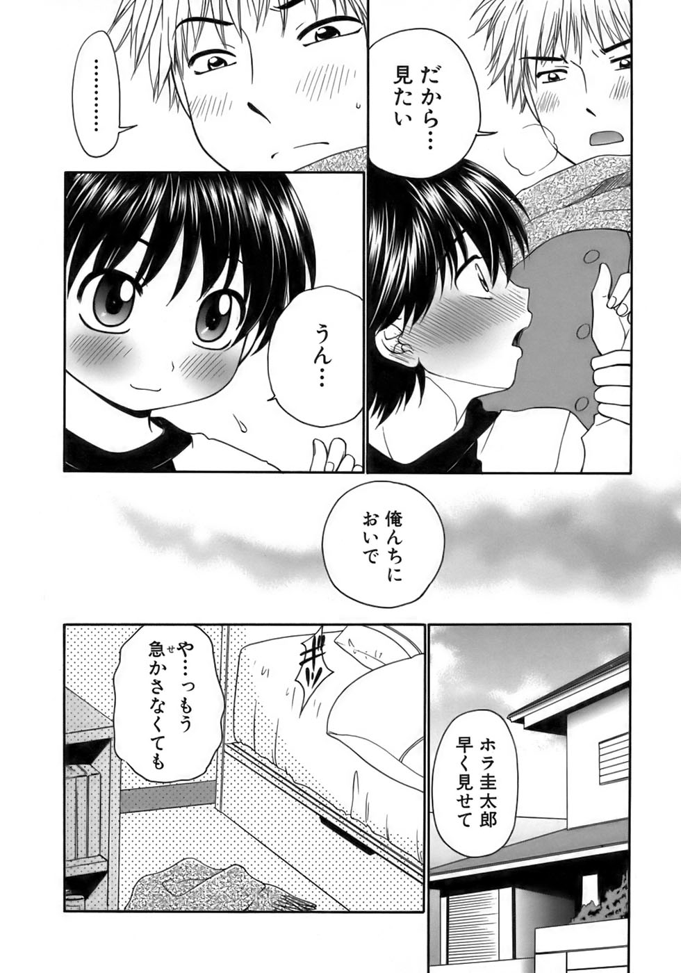 [アンソロジー] 少年愛の美学17 THEわんぱく少年
