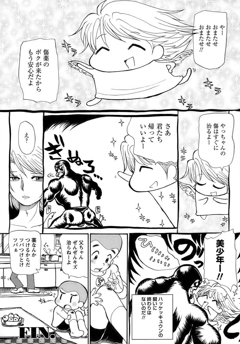 [アンソロジー] 少年愛の美学17 THEわんぱく少年
