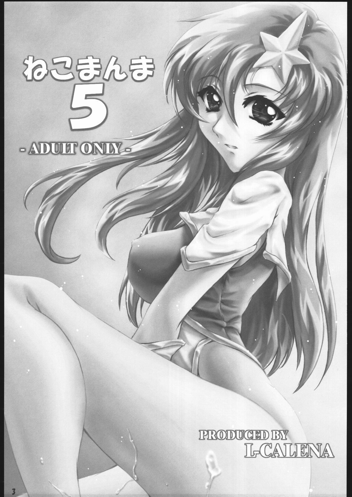 (C69) [L-CALENA (きさらぎ)] ねこまんま 5 (機動戦士ガンダムSEED DESTINY)