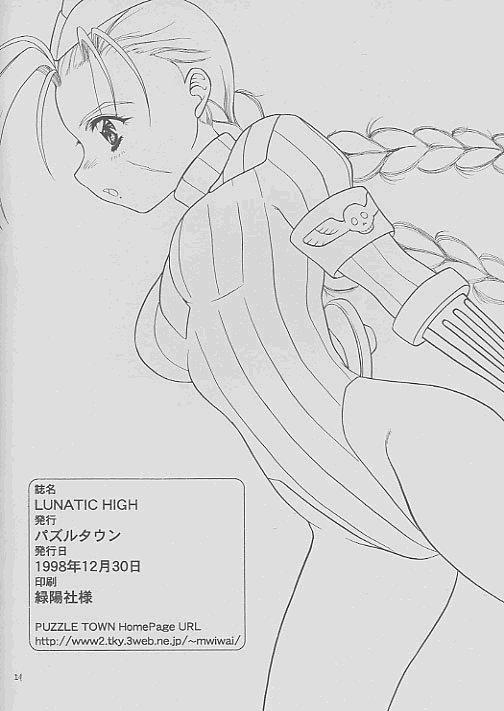 (C55) [パズルタウン (武藤真幸)] LUNATIC HIGH (ストリートファイター)