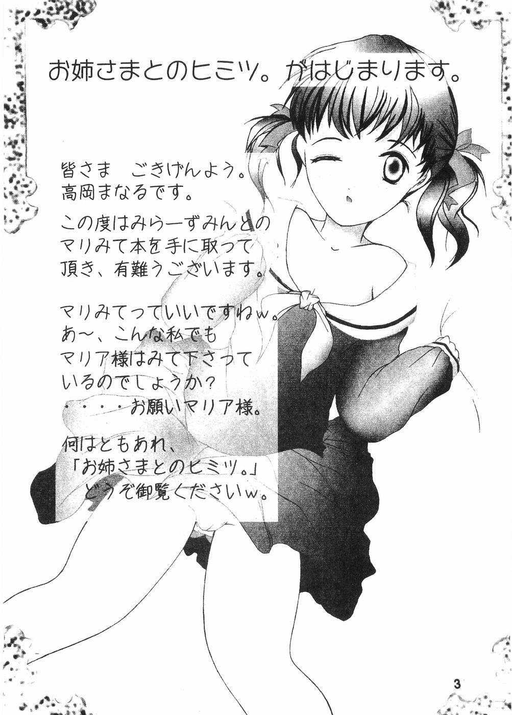 (C66) [みらーずみんと (高岡まなる)] お姉さまとのヒミツ (マリア様がみてる)