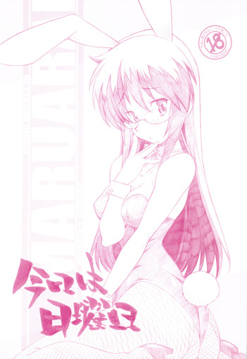 (C76) [まるあらい (新井和崎)] 今日は日曜日 (ハヤテのごとく!)