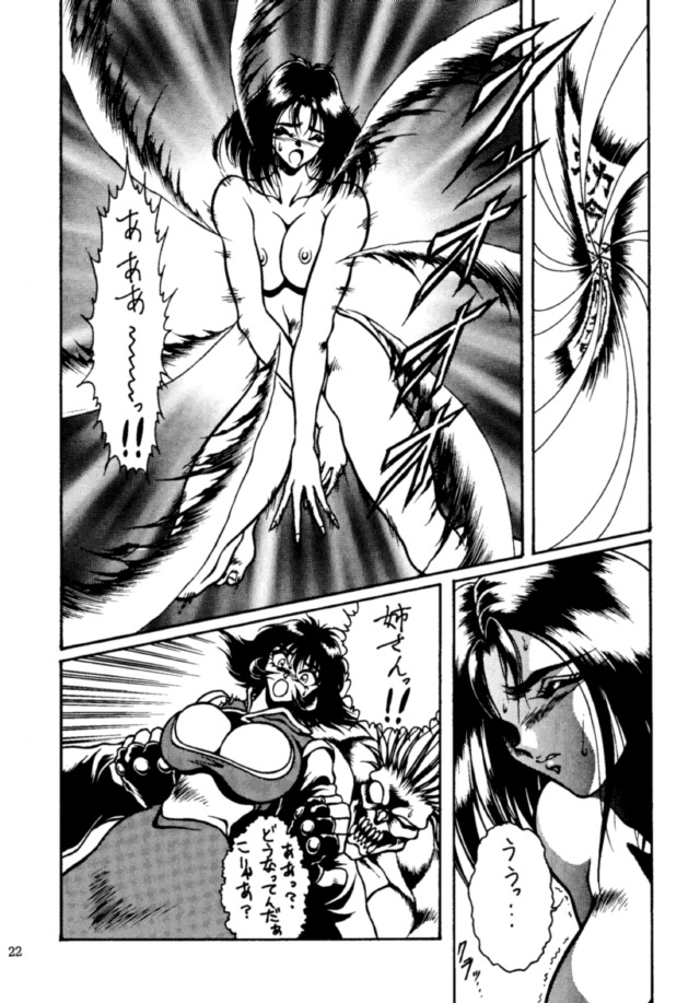 (C48) [悠理愛個人誌会 (悠理愛)] THE HEAT THREE (ヴァンパイアセイヴァー)