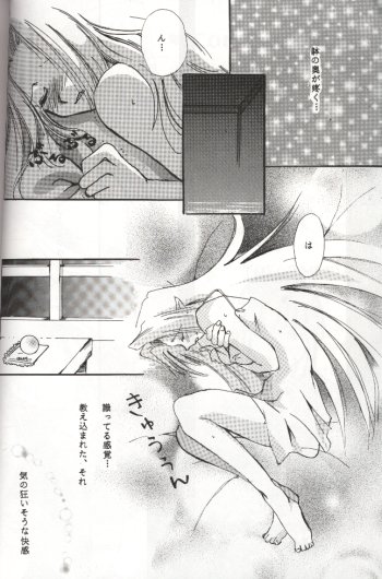 (C54) [こもだや (こもだもも、成瀬沙鳩)] 堕天使 (スレイヤーズ)