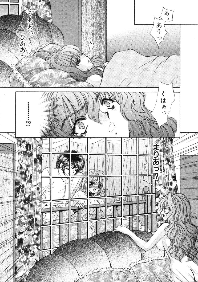 [猫島礼] 愛欲玩具