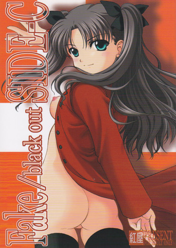 (C73) [紅屋 (紅悠樹)] Fake black out SIDE-C (Fate/Stay Night)