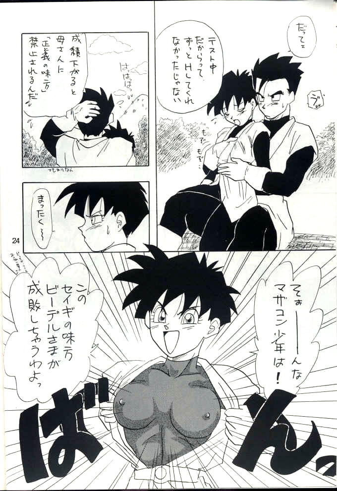 [ちり紙小屋, ふすま御殿 (障子張子)] YYY (ドラゴンボール)