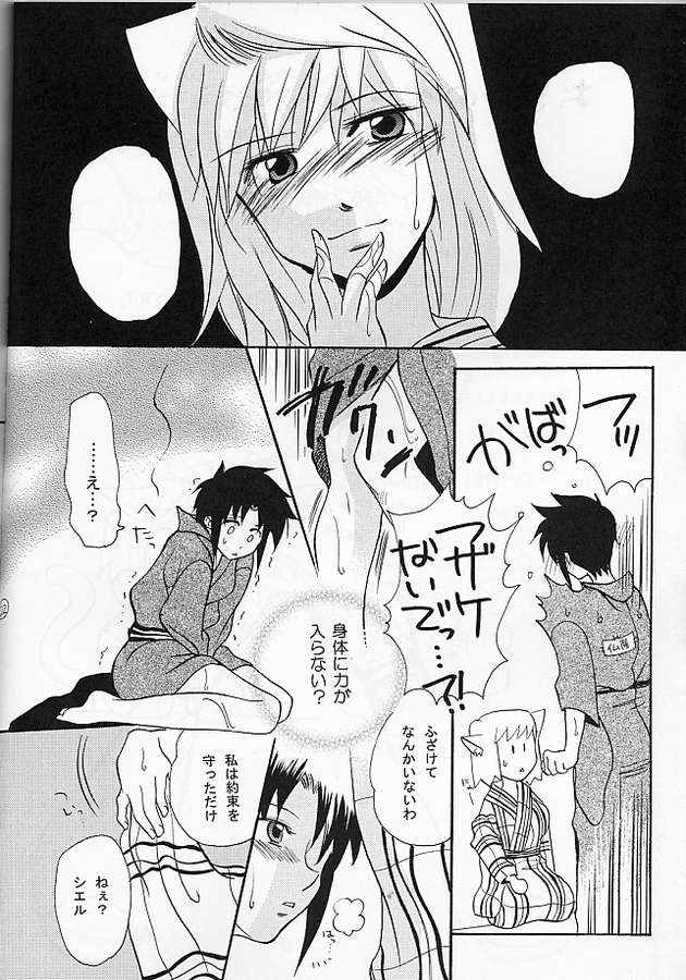 【玉斎島】戦隊ください【Fate / staynight】