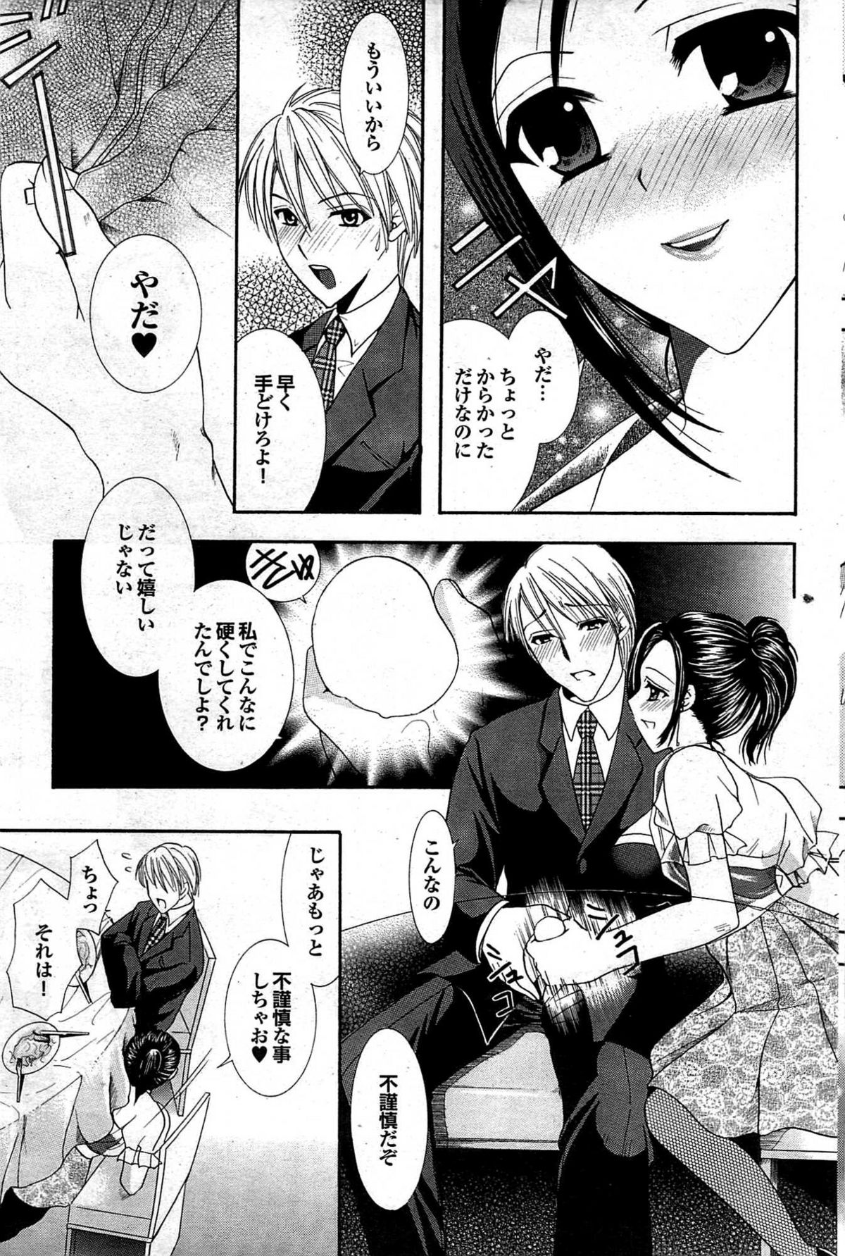 COMIC プルメロ 2007年12月号 vol.12