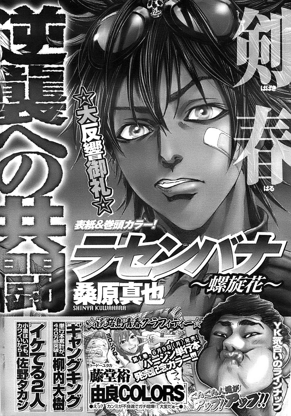 ヤングコミック 2008年7月号