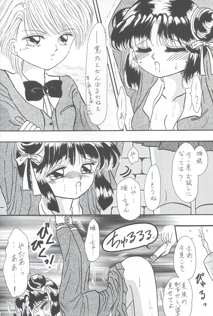 [チェリーブラッサム (藤原結実)] 出逢いのページから… (ふしぎ遊戯)