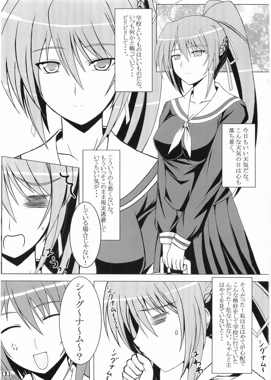 (C75) [ねズみ砦 (くろねズみ)] はやて様がご乱心! (魔法少女リリカルなのは StrikerS)