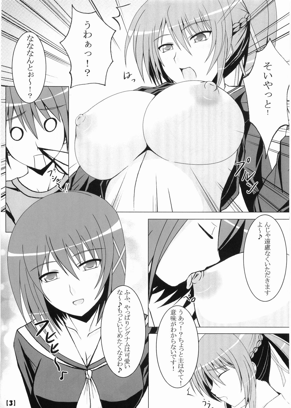 (C75) [ねズみ砦 (くろねズみ)] はやて様がご乱心! (魔法少女リリカルなのは StrikerS)