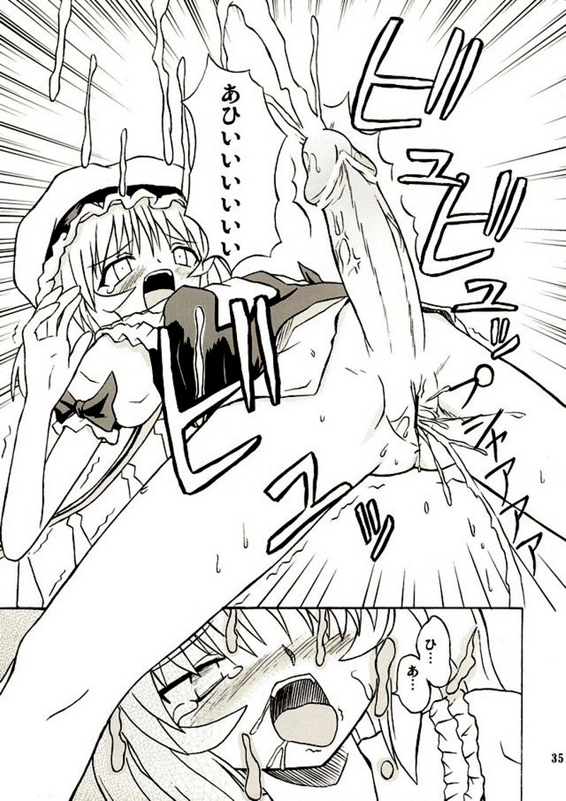 (例大祭2) [高久屋 (高久としひこ)] 東方妖女乱舞2 (東方Project)