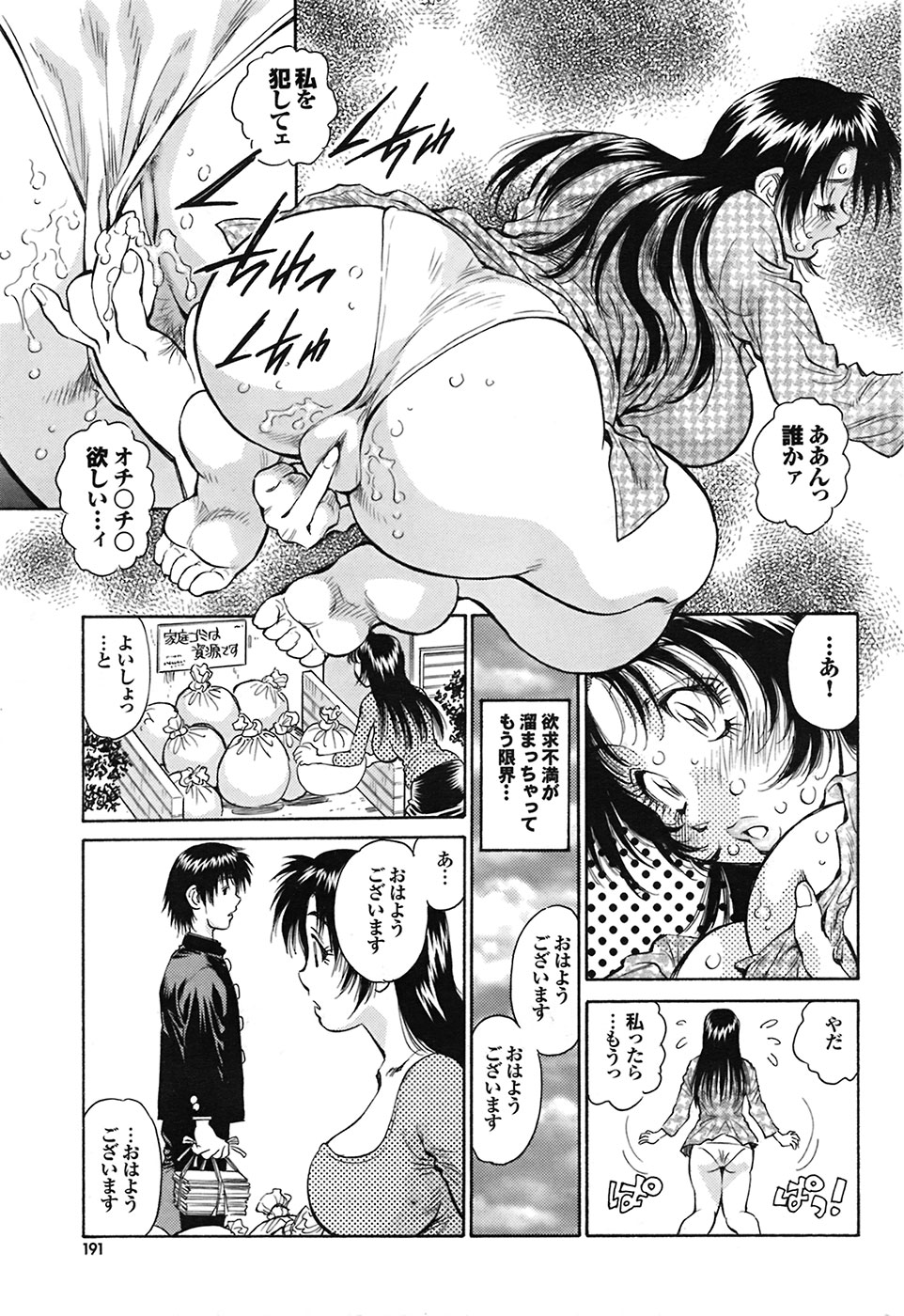 COMIC プルメロ 2009年03月号 vol.27