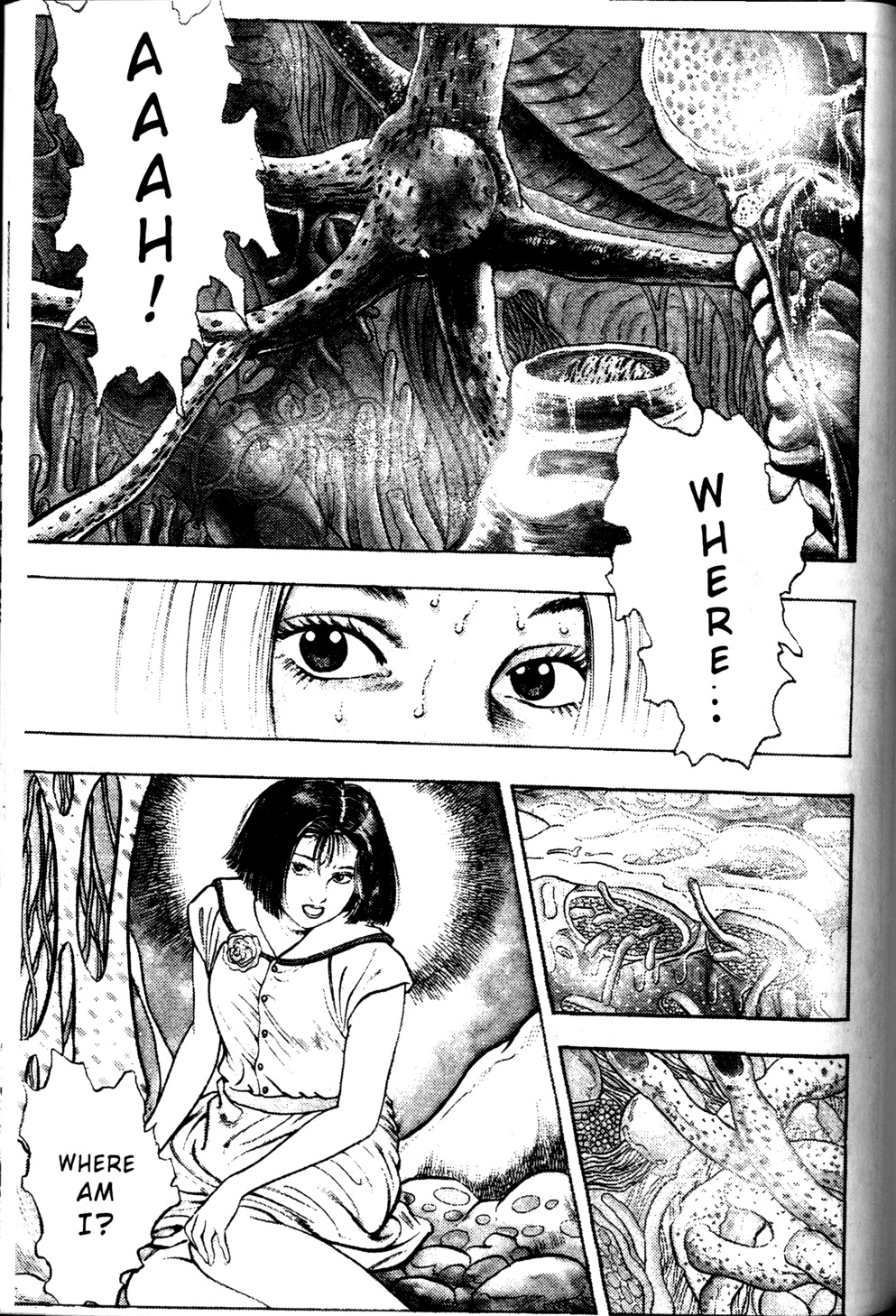 [前田俊夫] ラ・ブルー・ガール 第1巻 [英訳]
