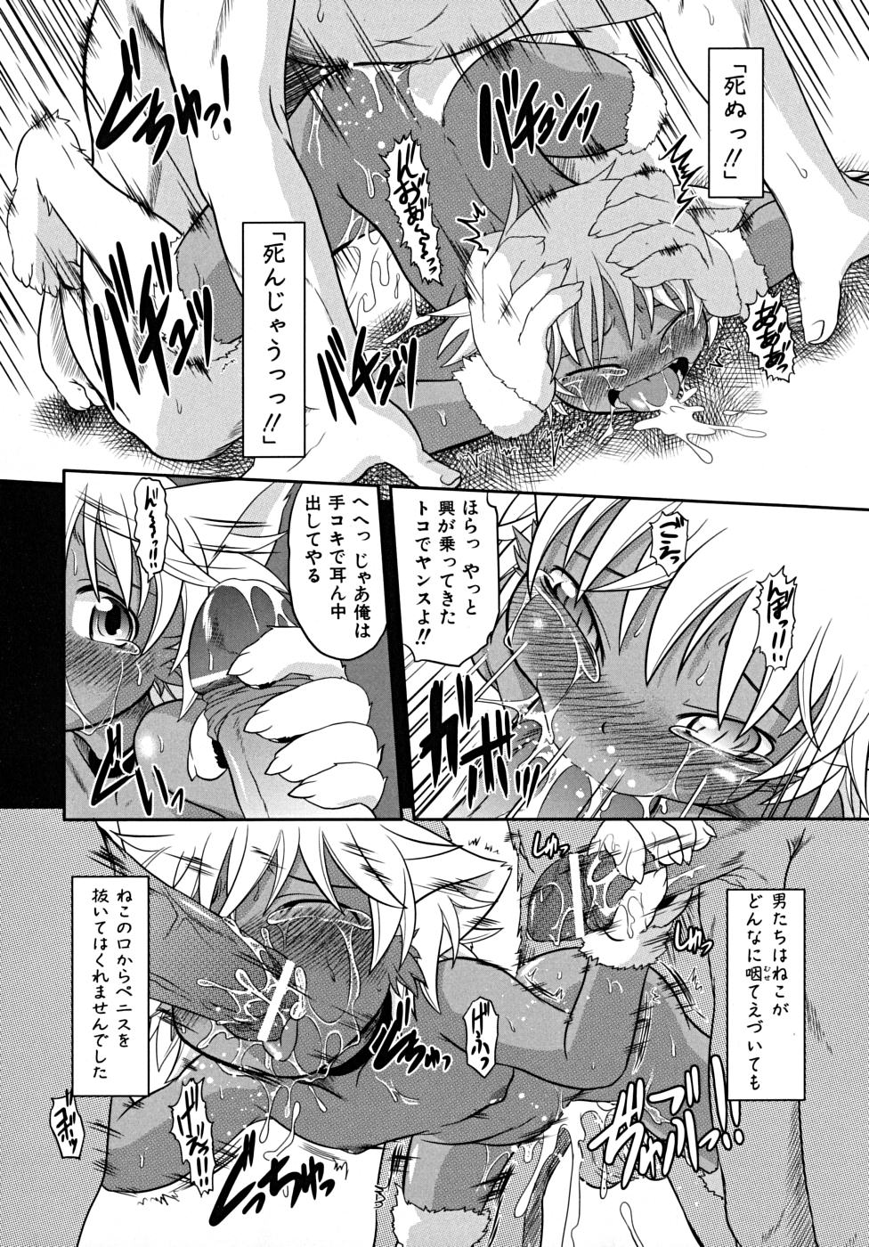[田倉まひろ] たくらまかん展覧会