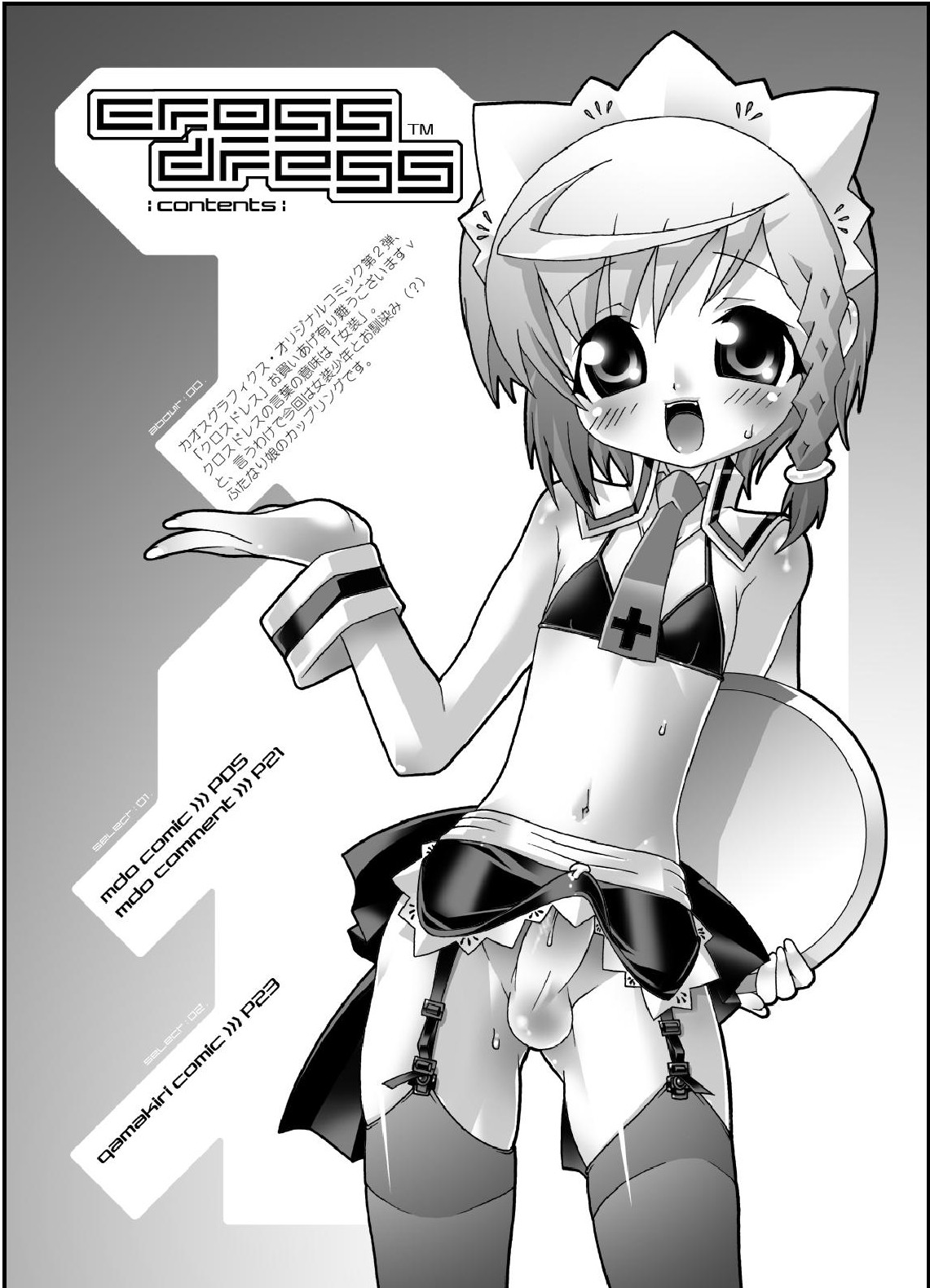 (C67) [chaos-graphixxx (無道叡智、QAMAKIRI)] crossdress