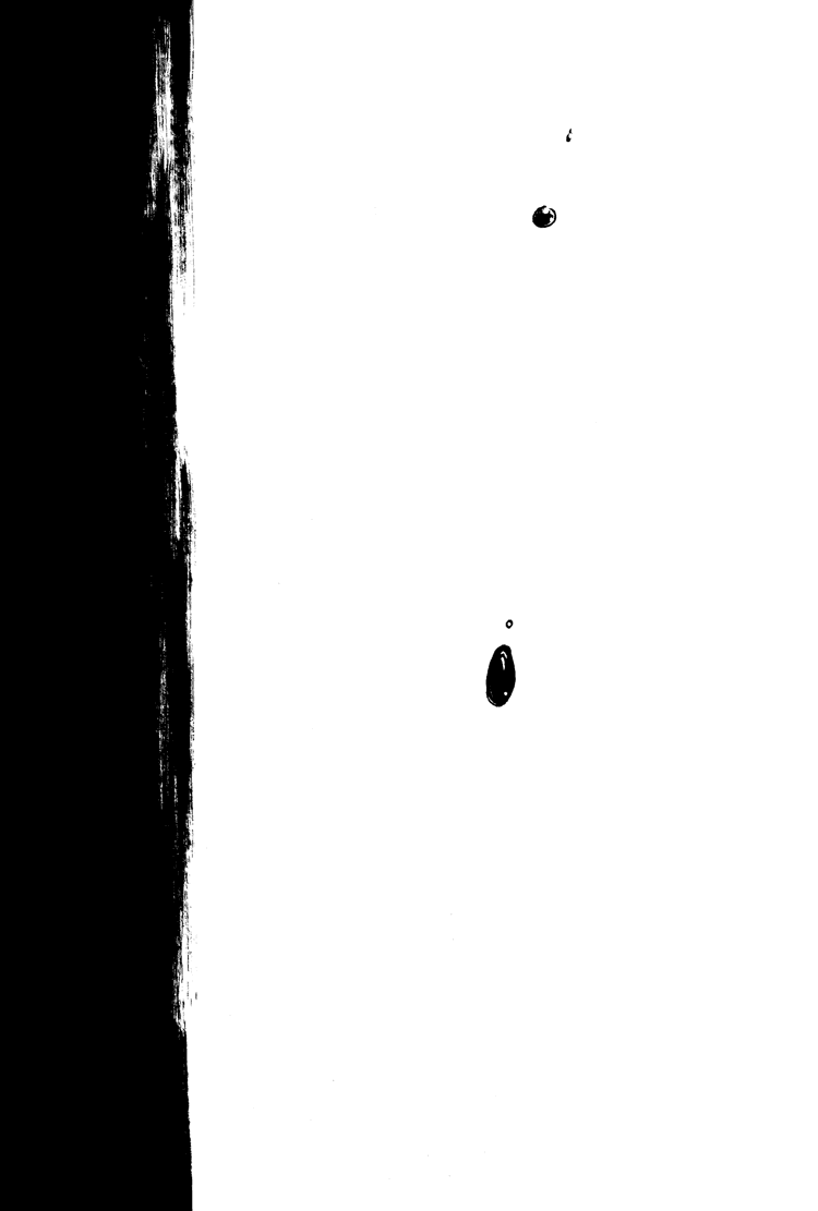 [デビルメイクライ]デビルメイクライ