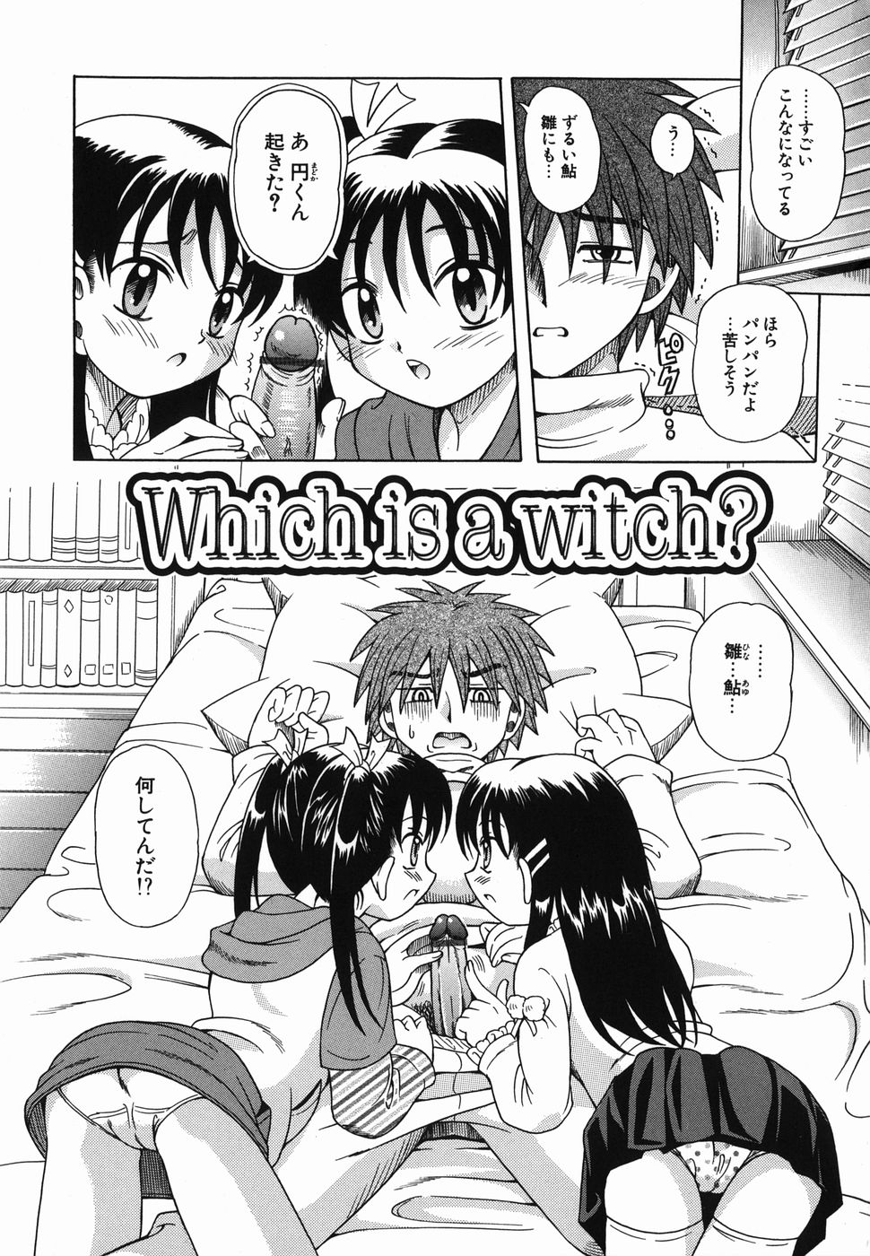 [豊沢十三郎] なかよく犯して