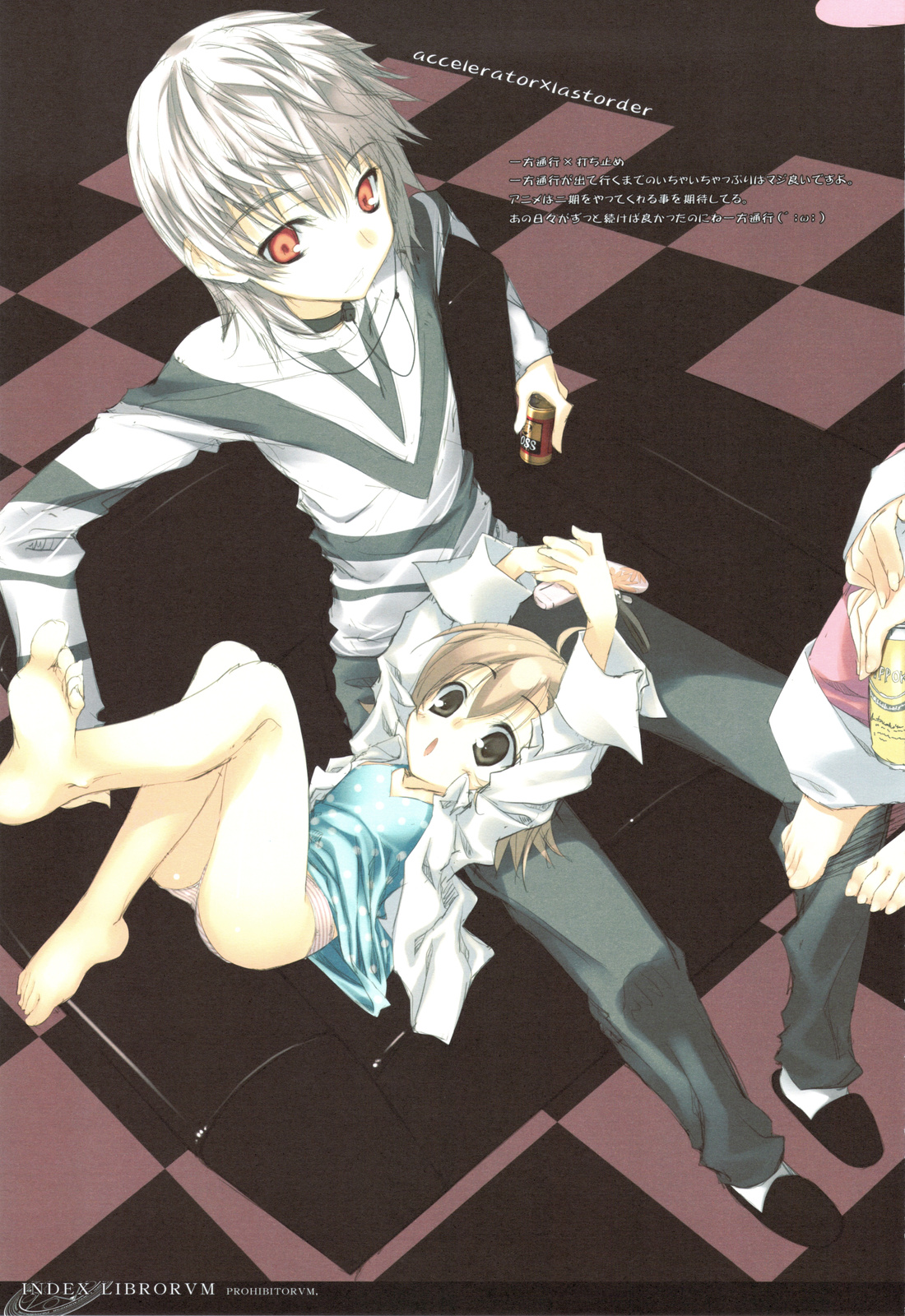 (C75) [Traumatize (籠目)] INDEX LIBRORVM PROHIBITORVM. (とある魔術の禁書目録)