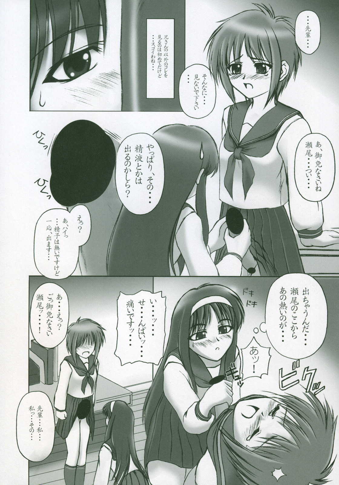 (サンクリ23) [ツキヒメゴト制作委員会 (よろず)] Moon Ecstasy ツキヒメゴト淫 LEVEL ☆ SOFT (月姫)