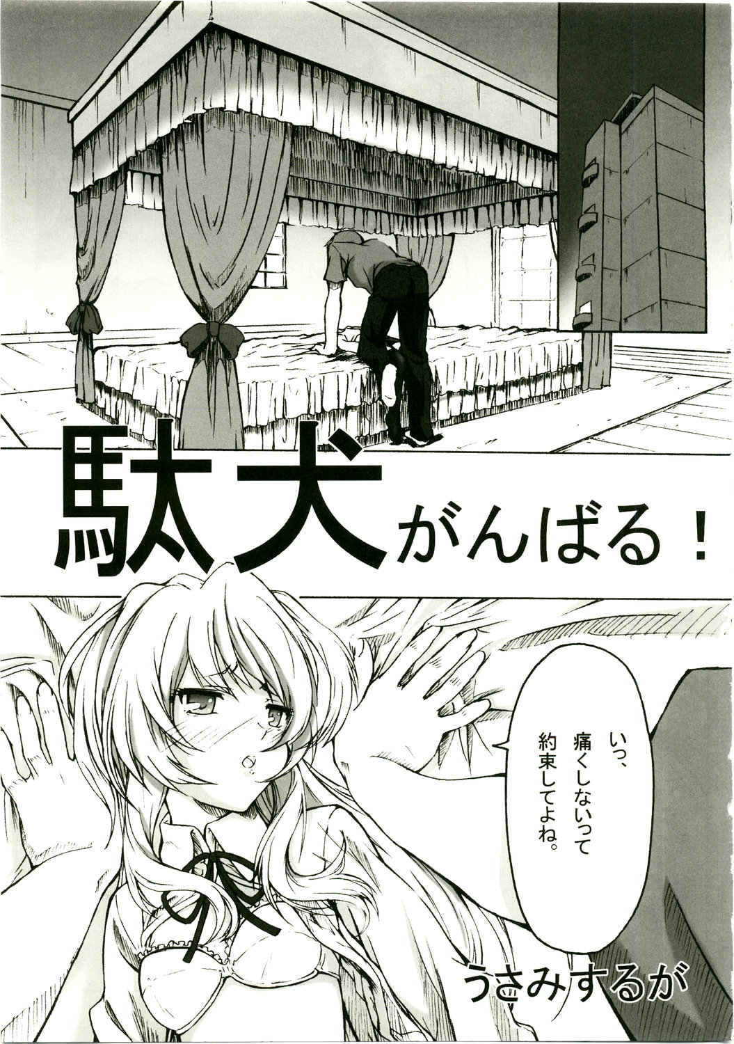 (C75) [ハイランド工房 (ウエノ直哉、うさみするが)] GIRL'S CAPRICCIO 14 (機動戦士ガンダム00、とらドラ!)