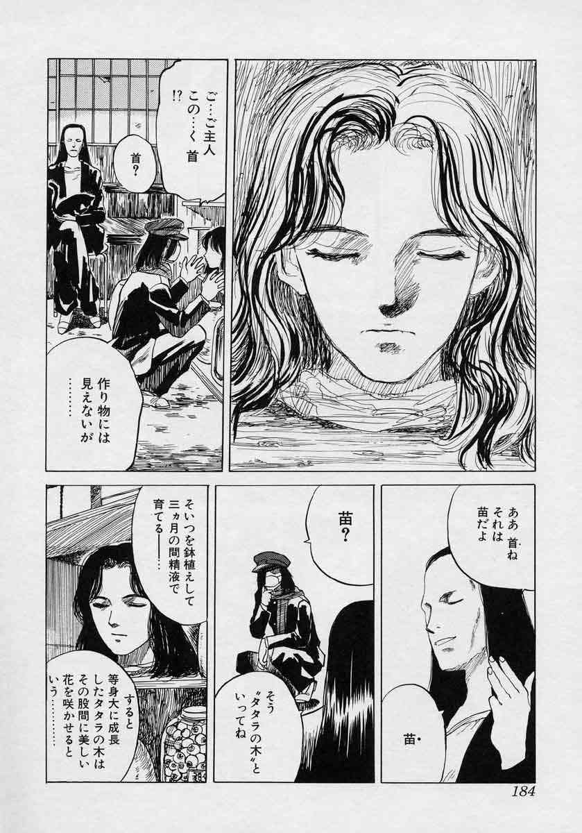 [天竺浪人] 対の踊り子たち