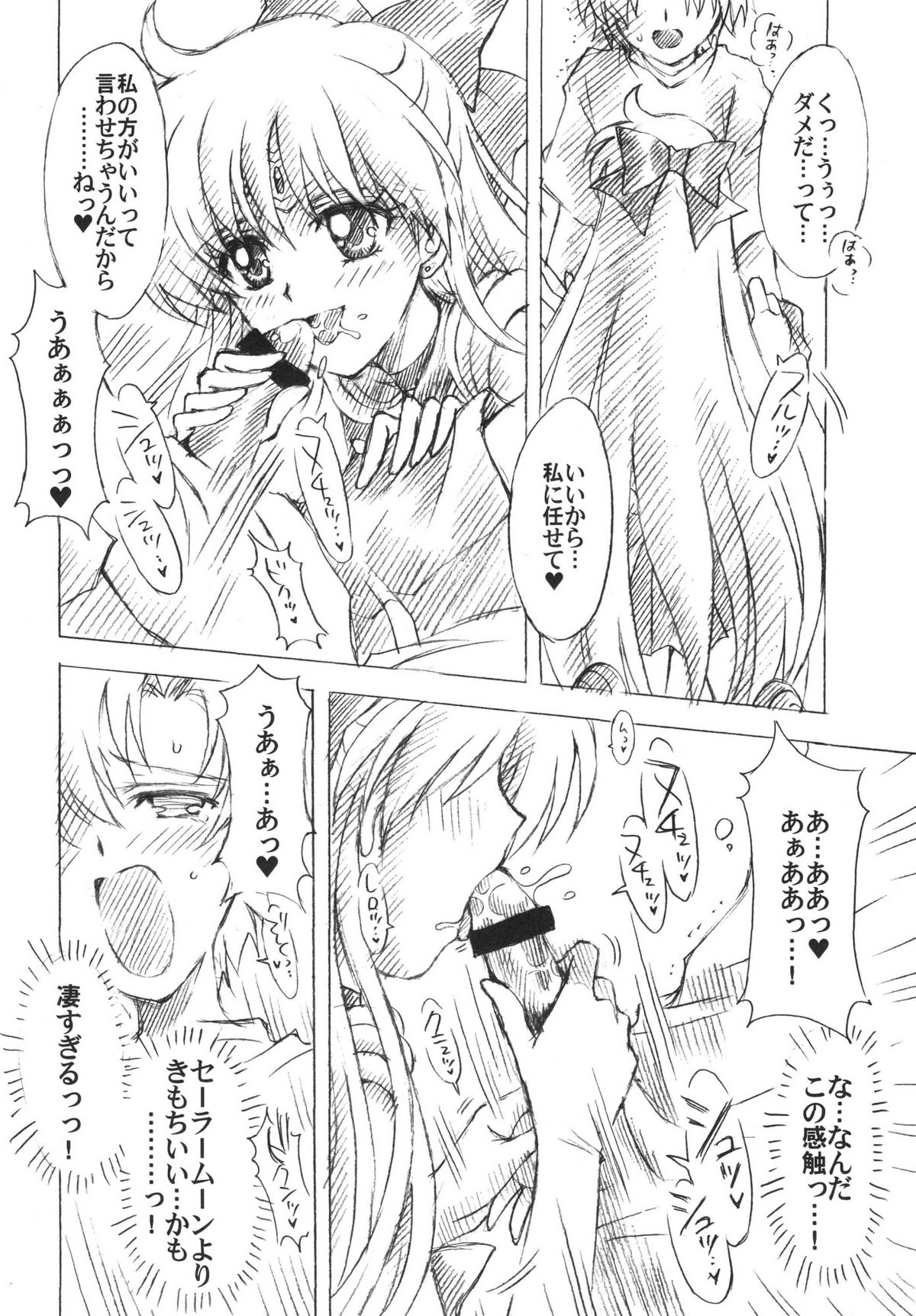 (C74) [小鳥事務所 (桜文鳥)] chanson de I'adieu 3 (セーラームーン)