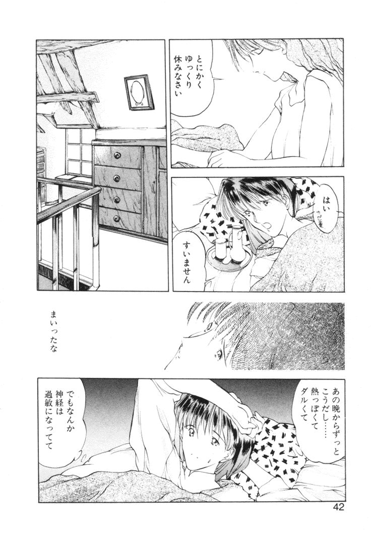 【冨樫】歴史2-森の妖精物語2-もいいきって