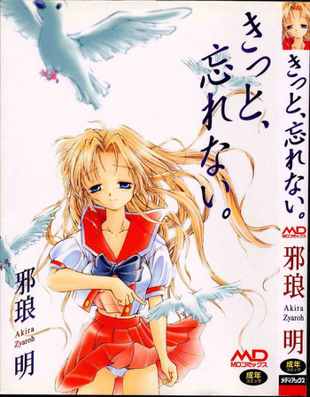 [邪琅明] きっと、忘れない。