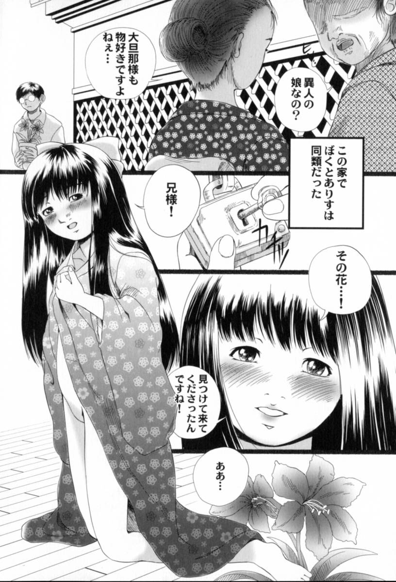 [八的暁] 蔵の中のアリス