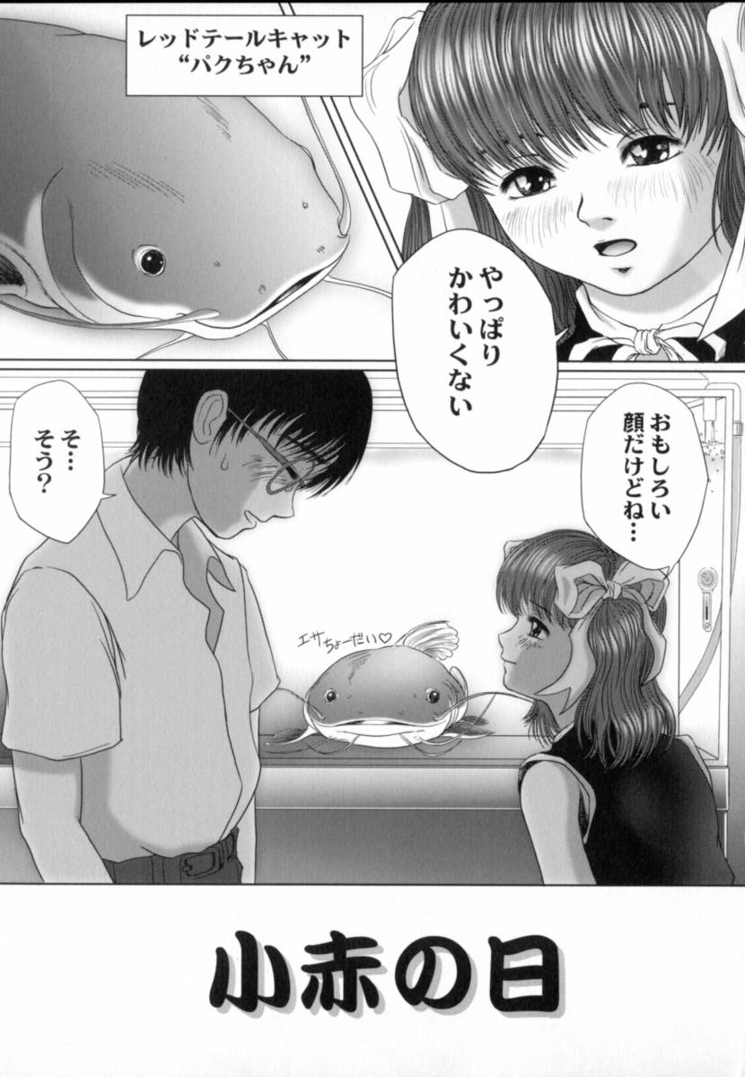 [八的暁] 蔵の中のアリス