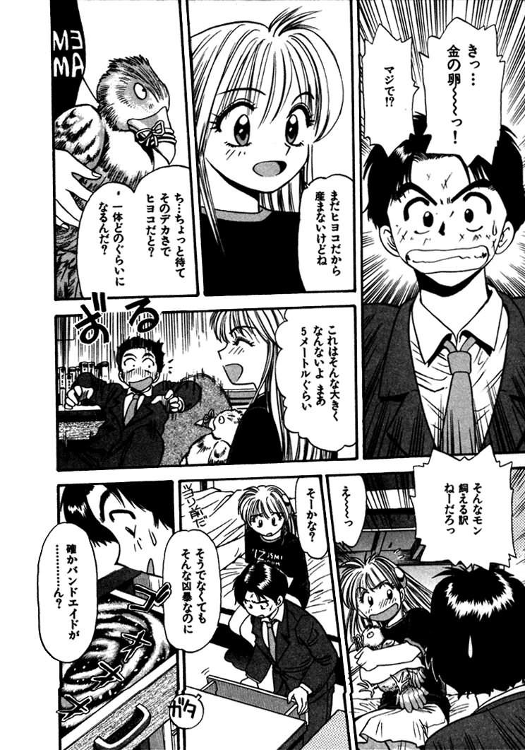 [えのあきら] FLYING TEAPOT フライングティーポット