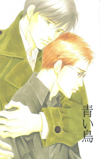 【大沢化成風協会】【2003-12-30】【C65】葵鳥 【大沢化成風協会】【2003-12-30】【C65】葵鳥